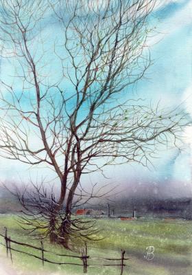 Quiet Morning in the Village