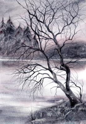 Silence of the Night