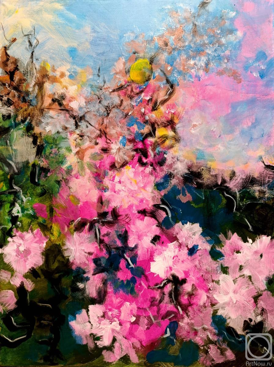 �������. �������� ������. ������� �����