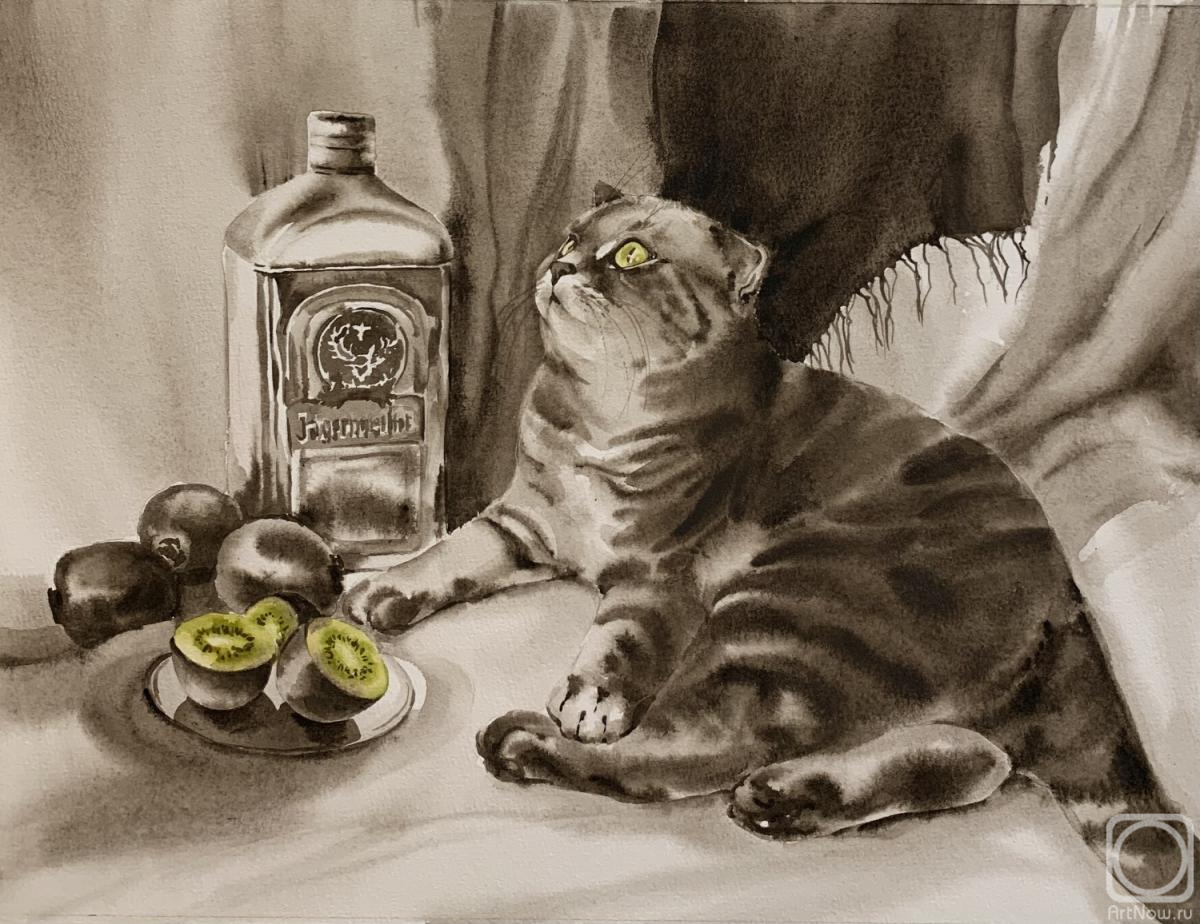 �������. ������� �������. ��������� � �� ������ ������