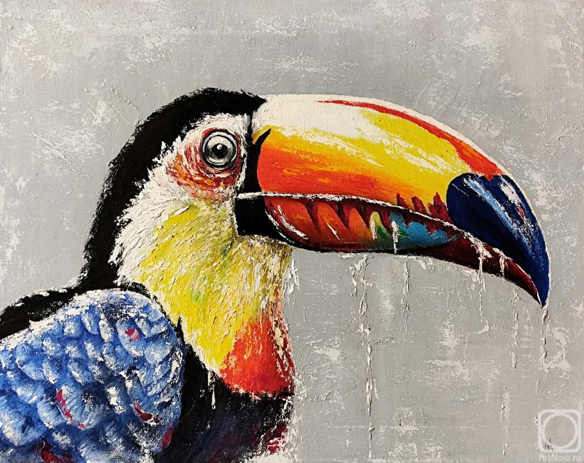 Litvinov Andrew. Toucan