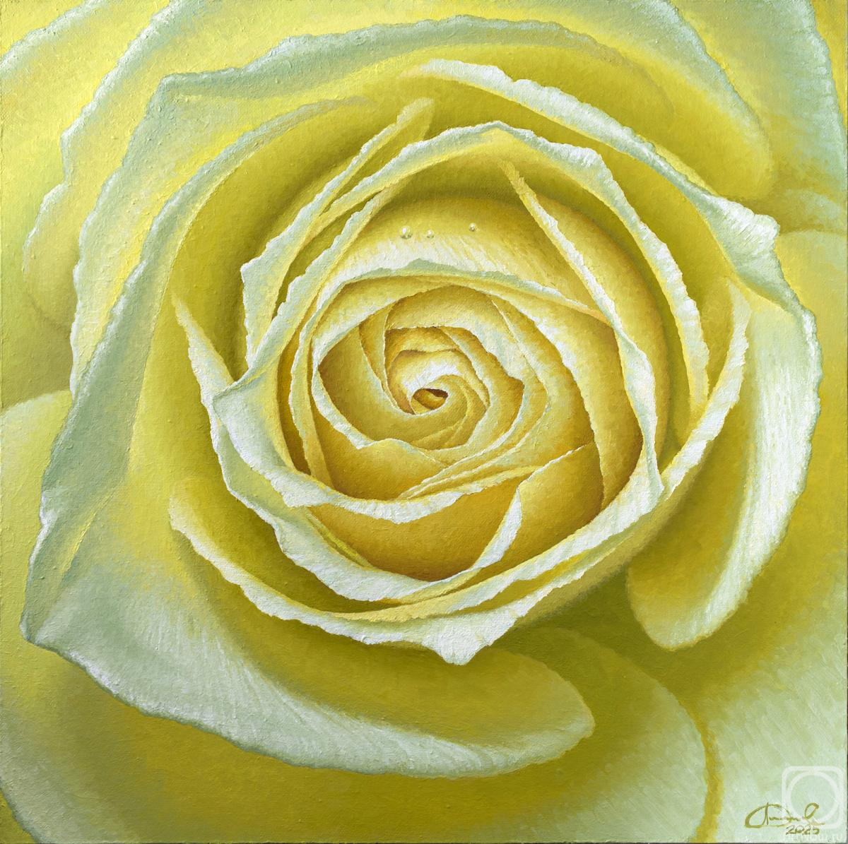 �������. �������� ���������. ������ ����