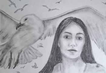 �����. �������� ���������