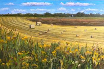 ���������.�����