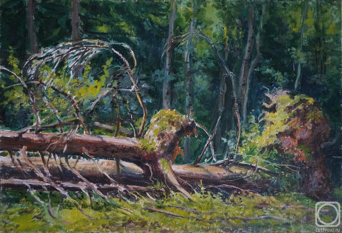 �������. �������� �����. ������� ����.����