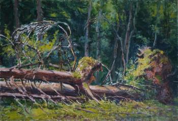 ������� ����.����. �������� �����