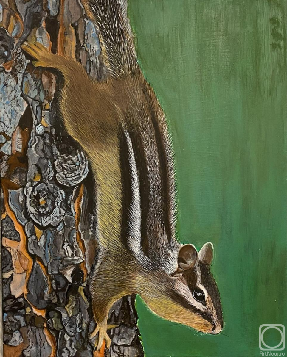 �������. �������� �������. ��������