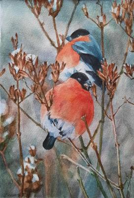 ������� �����