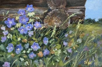 ������������ � ����. �������� �����