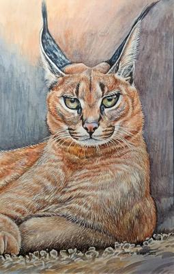 �������. �������� �����