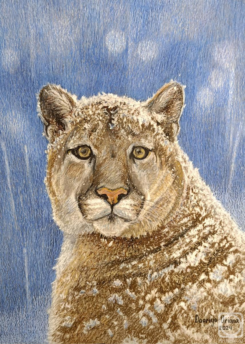 �������. �������� �����. ���� �����