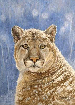 ���� �����. �������� �����