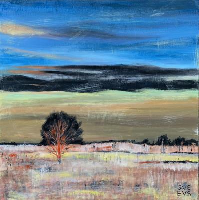 Countryside landscape. A lone tree