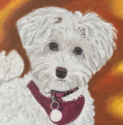 Snow-white friend. Shuvalova Nataliya