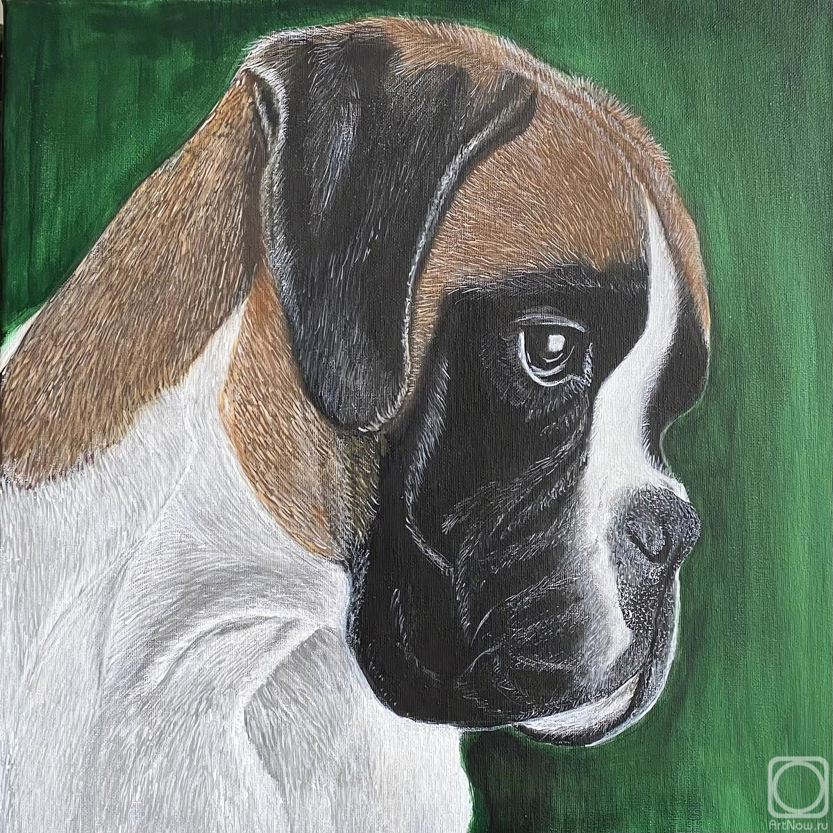 �������. �������� �������. ������ ������