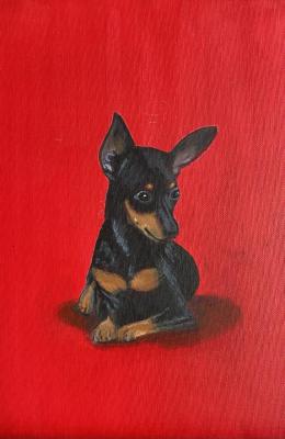 Shuvalova Nataliya Albertovna. Portrait of a Zwergpinscher