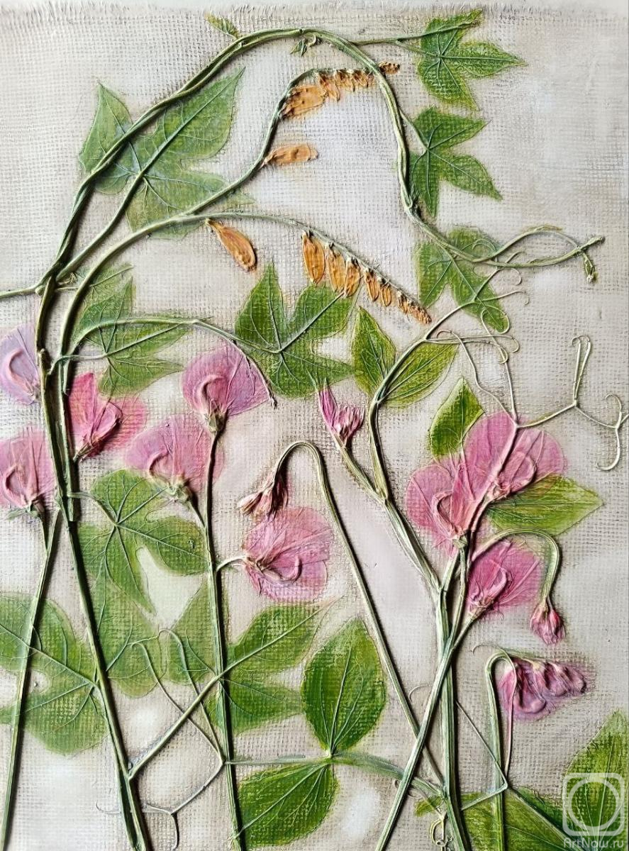 ������� �����. �������� �����