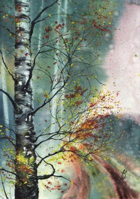 ������� ����. �������� ����