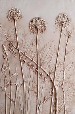 �������� ����� �� �����