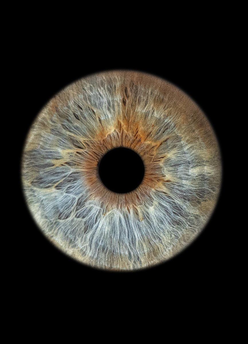 �������� ���������