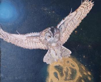 �������� �����