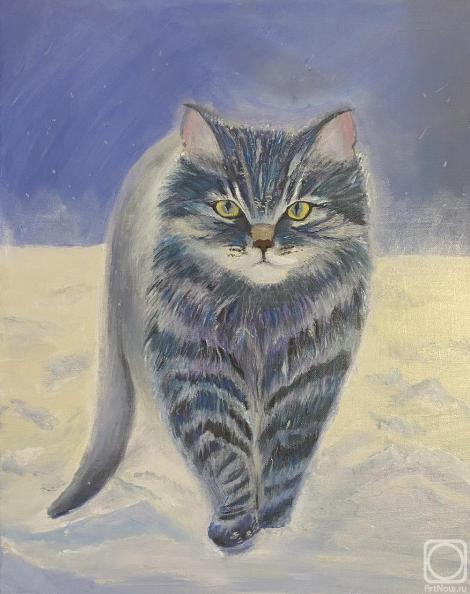 Shuvalova Nataliya. Winter cat