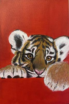 Tiger Cub. Shuvalova Nataliya