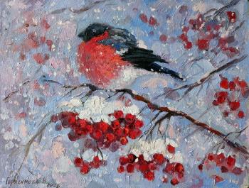 ����������. ���������� �������