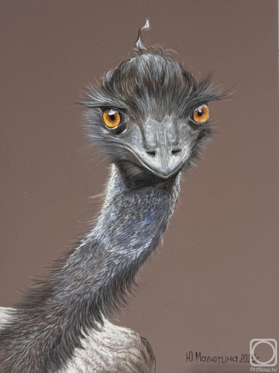 Malyutina Yuliya. Full-face ostrich