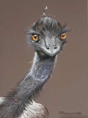 Full-face ostrich (Wildlife Art). Malyutina Yuliya