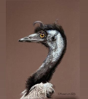 Ostrich in profile (Wildlife Art). Malyutina Yuliya