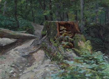 The old stump. Kozhin Simon