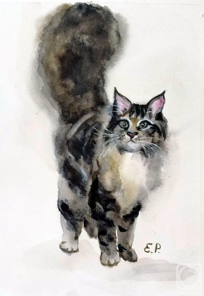 �������. ���� �����. ������� ����