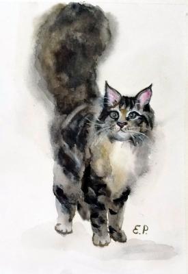 ������� ����