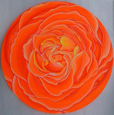 ������������ ����: ������� ���� ������ ������ �� ������� ������. ��������� �����