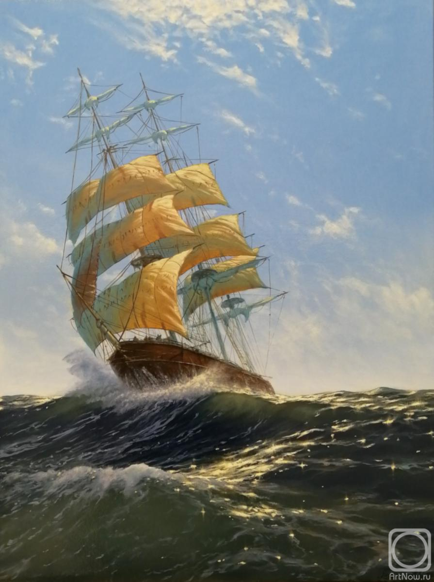 Nemaltsev Kirill. On the crest of a wave