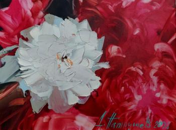 ������� ������ � ������