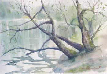 ����� � �����. ������������ �����