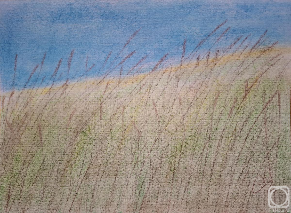 �������. �������� ���������. �������