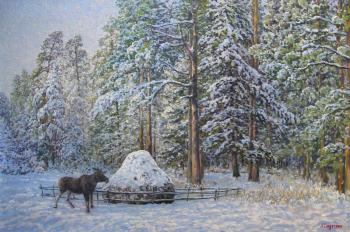 ������� �� ������ ����