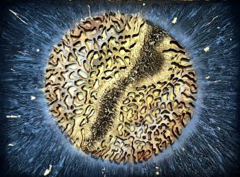 ����� �����. ���������� �����