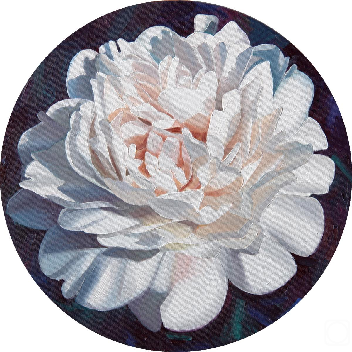 ������� ������ �� ������. ���������� ���������. ����� ����