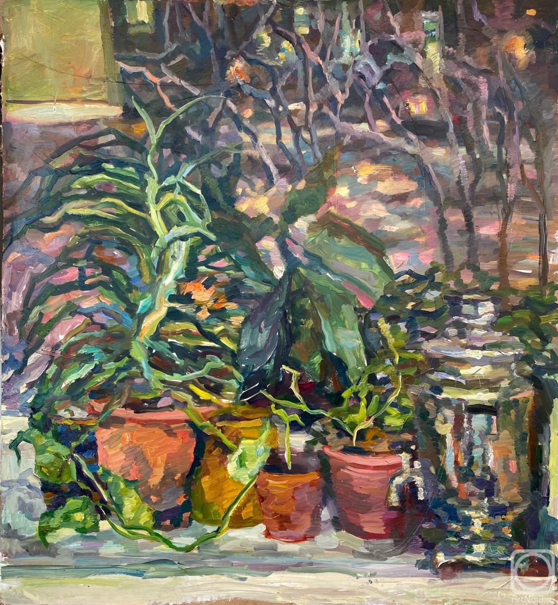 �������. ������ ��������. ���� � ��������