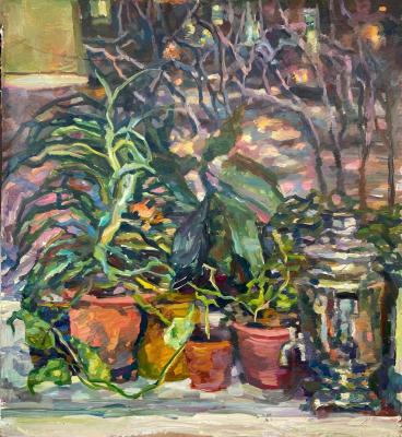 ���� � ��������. ������ ��������