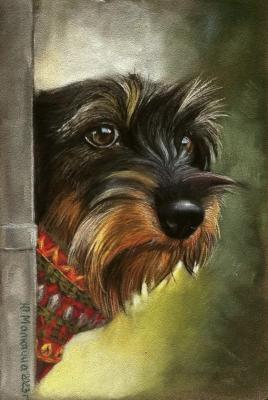 ����� �����������. �������� ����