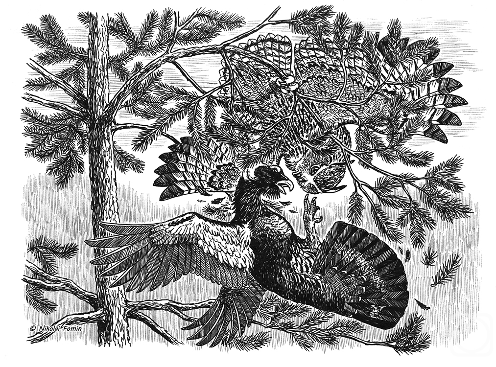 �������. ����� �������. ���������� �������