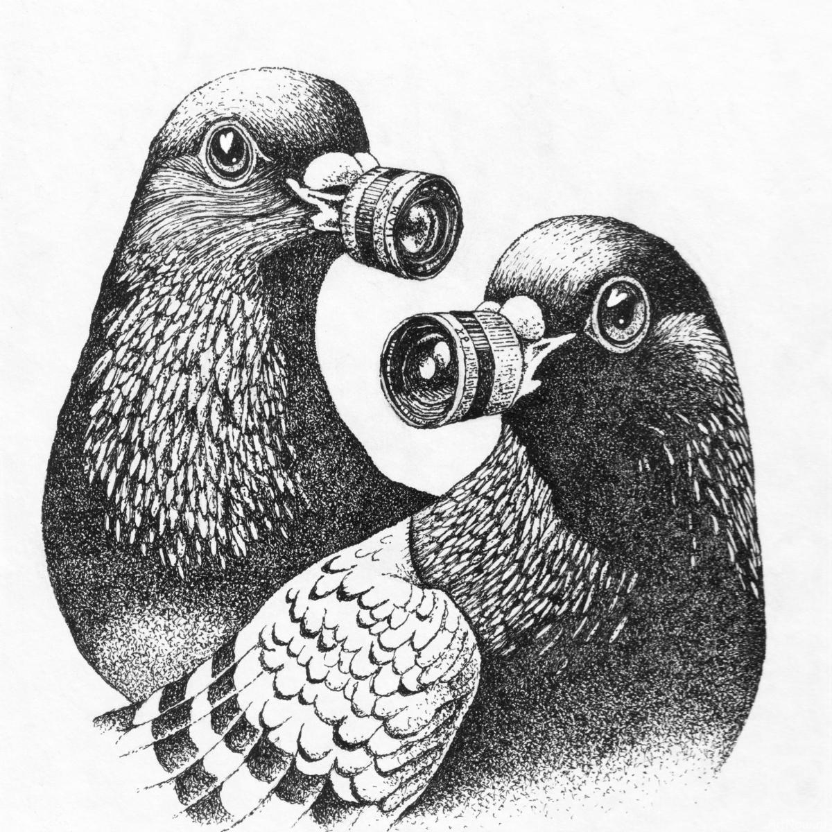 ������� ������. ������� � �����