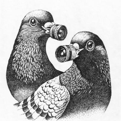 ������� � �����. ������� ������