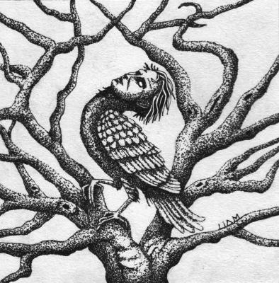 ������ ���� ������ �� ��� (����� ������). ������� ������