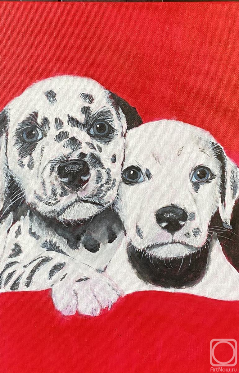 �������. �������� �������. ����������� ������